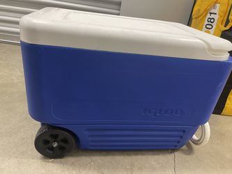 Igloo Cooler 