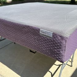 Purple - Restore Premier Soft - King