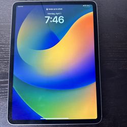 iPad Pro (11 inch) (4th generation) space grey WiFi + cellular (unlocked) 128 GB with otterbox case