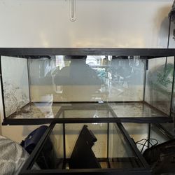 20 Gallon Long Reptile Tank