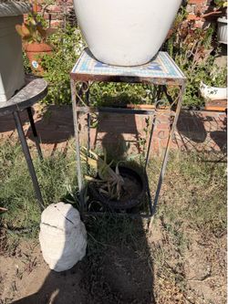 Plant stand variety