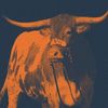 TexasLove