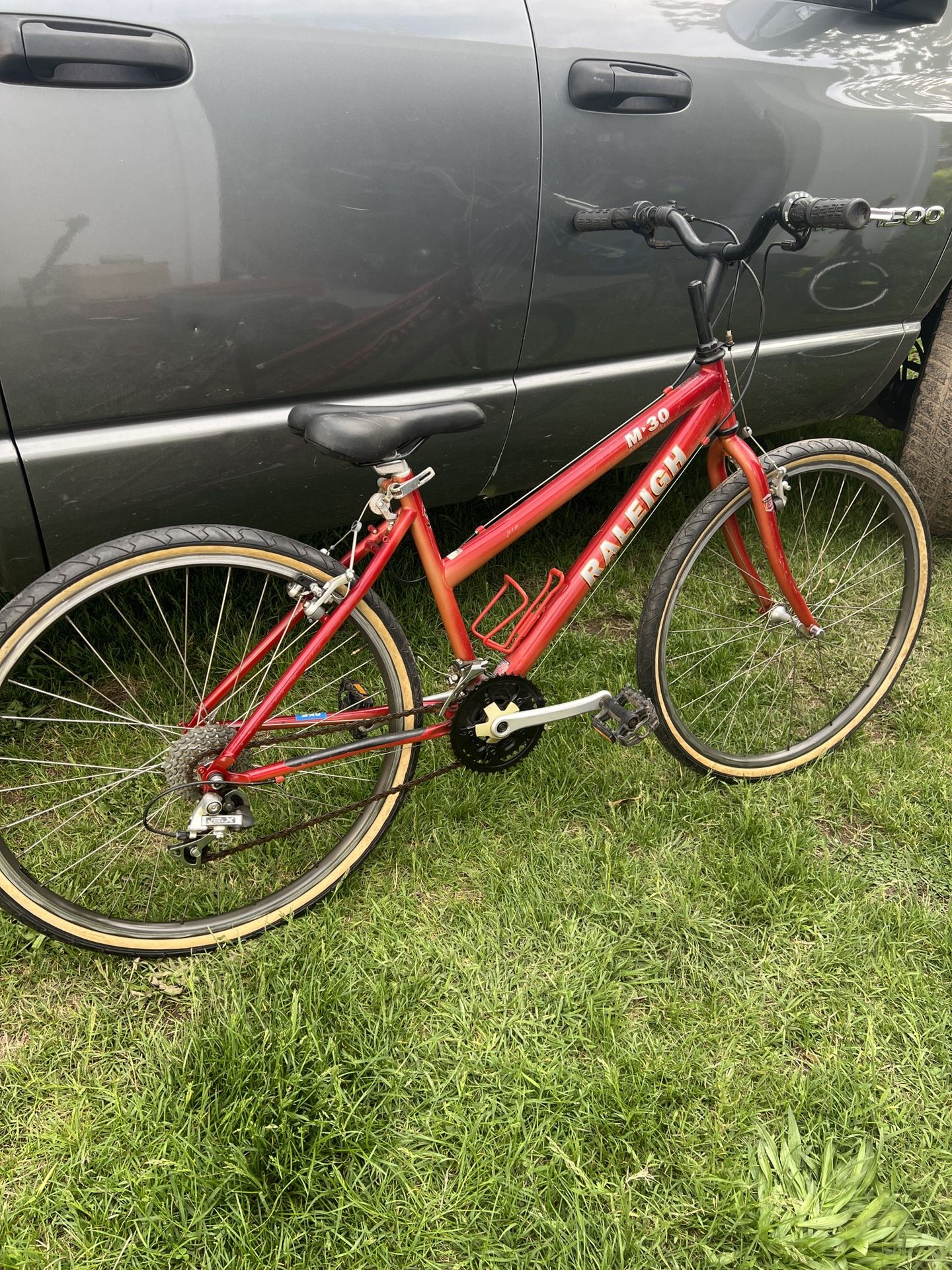 Raleigh Bike
