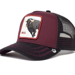 Animal Hat