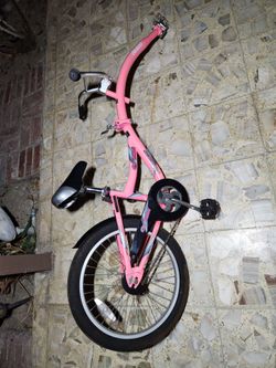 Wee ride co pilot bike trainer