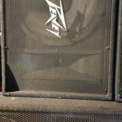 Peavy PV-15M Monitors 