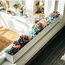 Modern Rectangle Planter Box - 32" Metal Planter Ideal as a Long Succulent Planter | Rectangular Planter Box for Table or Window Sill Planters Indoor 