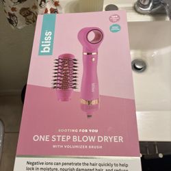 Blow Dryer And Brush 
