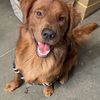 Carlos