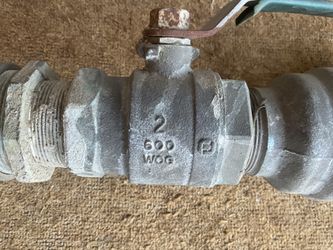 Backflow preventer