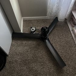 Fan (with no remote)