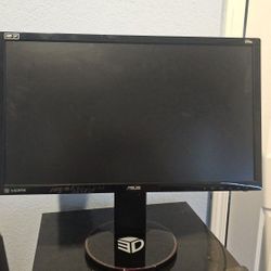Asus VG248QE G-Sync Modded Monitor