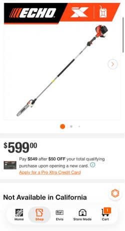 Gas 2 stroke  pole saw
