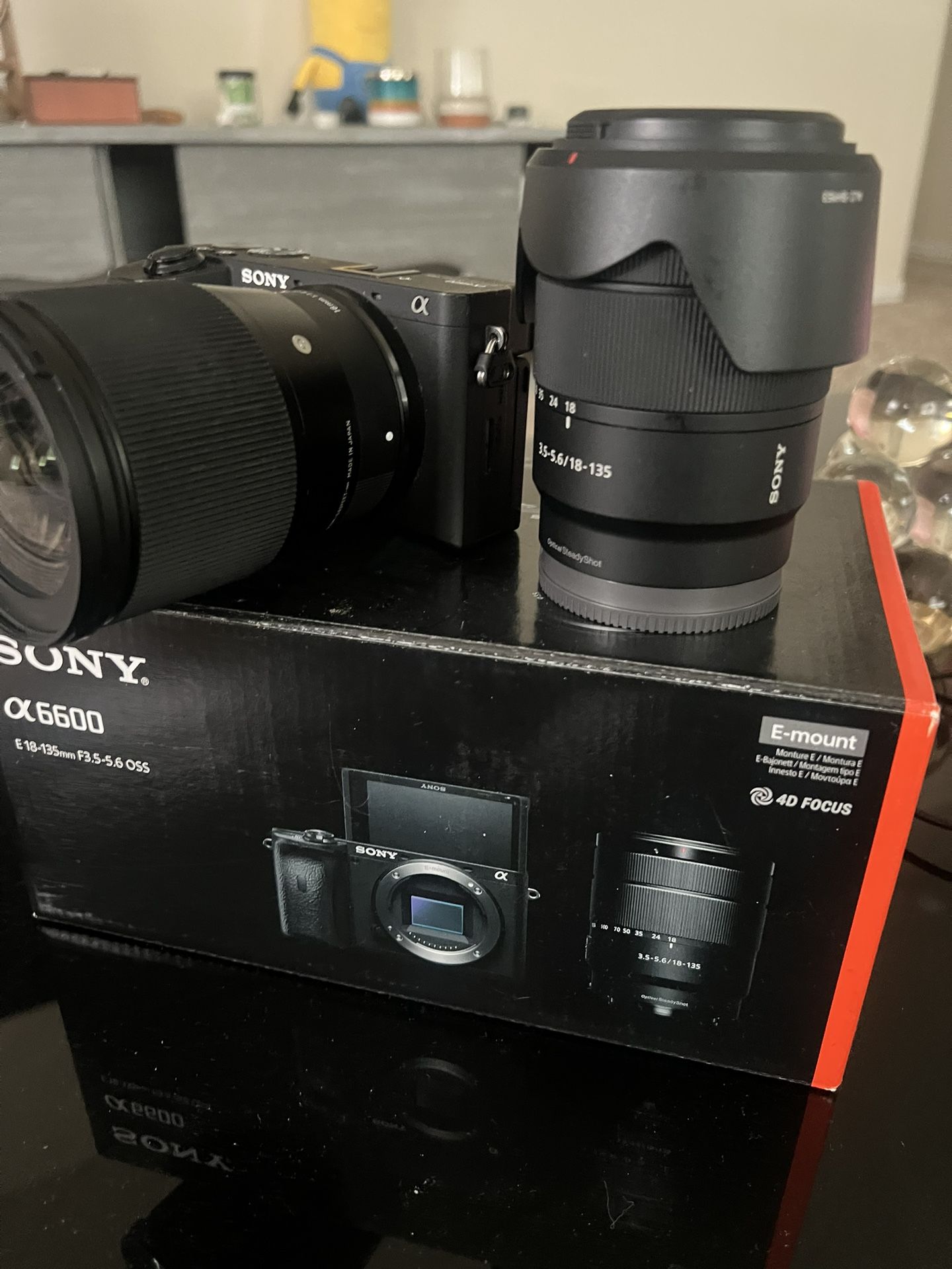 Sony A6600 Mirrorless  With 18-135mm Lens