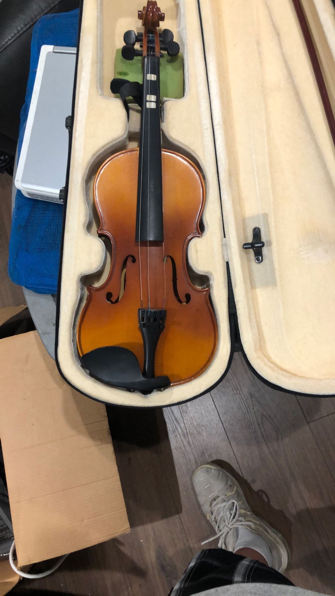 Violin