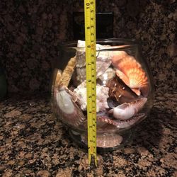GLASS BOWL WITH 🐚 SHELLS 