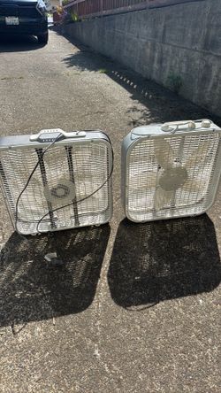Box Fans