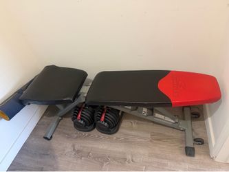 bowflex adjustable dumbbells & bowflex bench