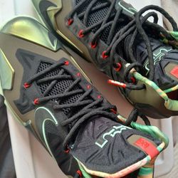 Lebrons Size 11