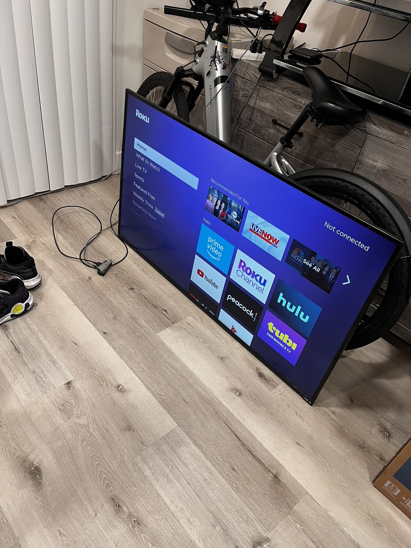 55” Vizio /w Roku Device 
