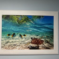 Undersea Painting w/Frame
