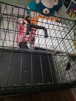 A single-door medium dog crate