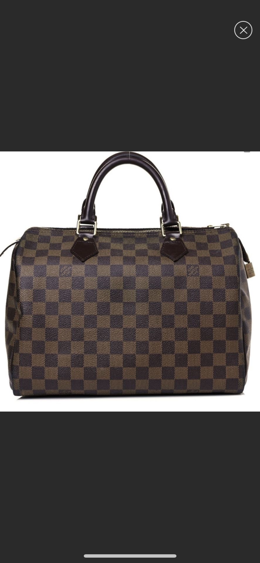 Louis Vuitton Speedy Bag