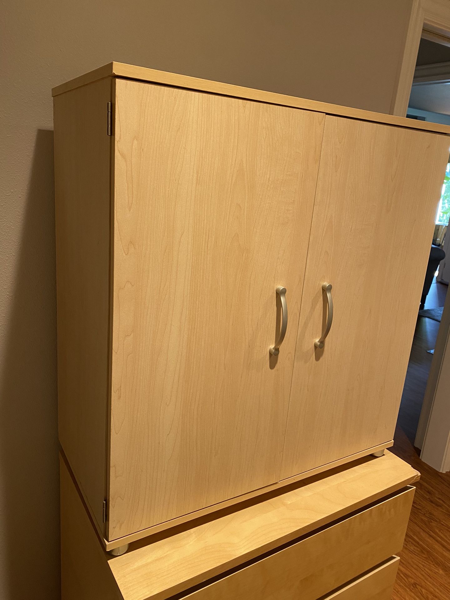IKEA Double Door Storage Cabinet - Excellent Condition