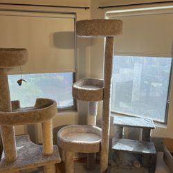  Cat Tower