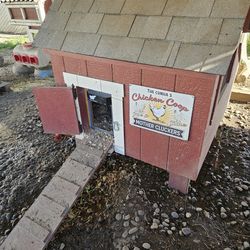 Chic coop e nesting beens