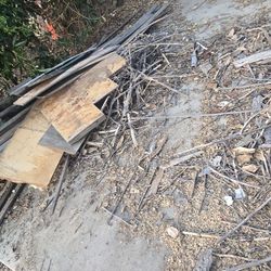 Free Scrap Wood, Brush, Firewood,  