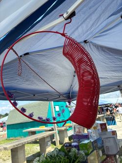 Whole peanut red wreath bird and squirrel feeder