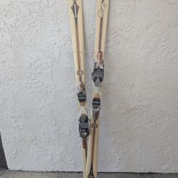 Dynaster Skis 