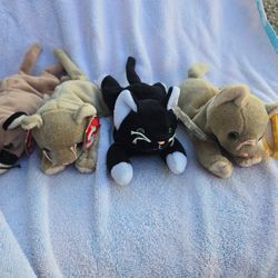 1998 Beanie Babies Cats