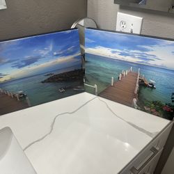 TWO Tropical photo canvas taken in the Philippines 16x12 wall mount ready $20 for BOTH!
