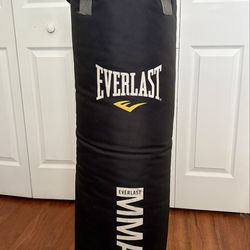 Everlast MMA Punching Bag