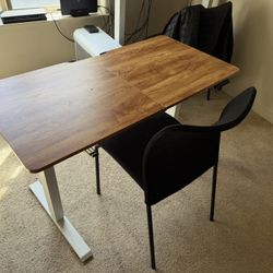 Stand/Sit Desk (working) 