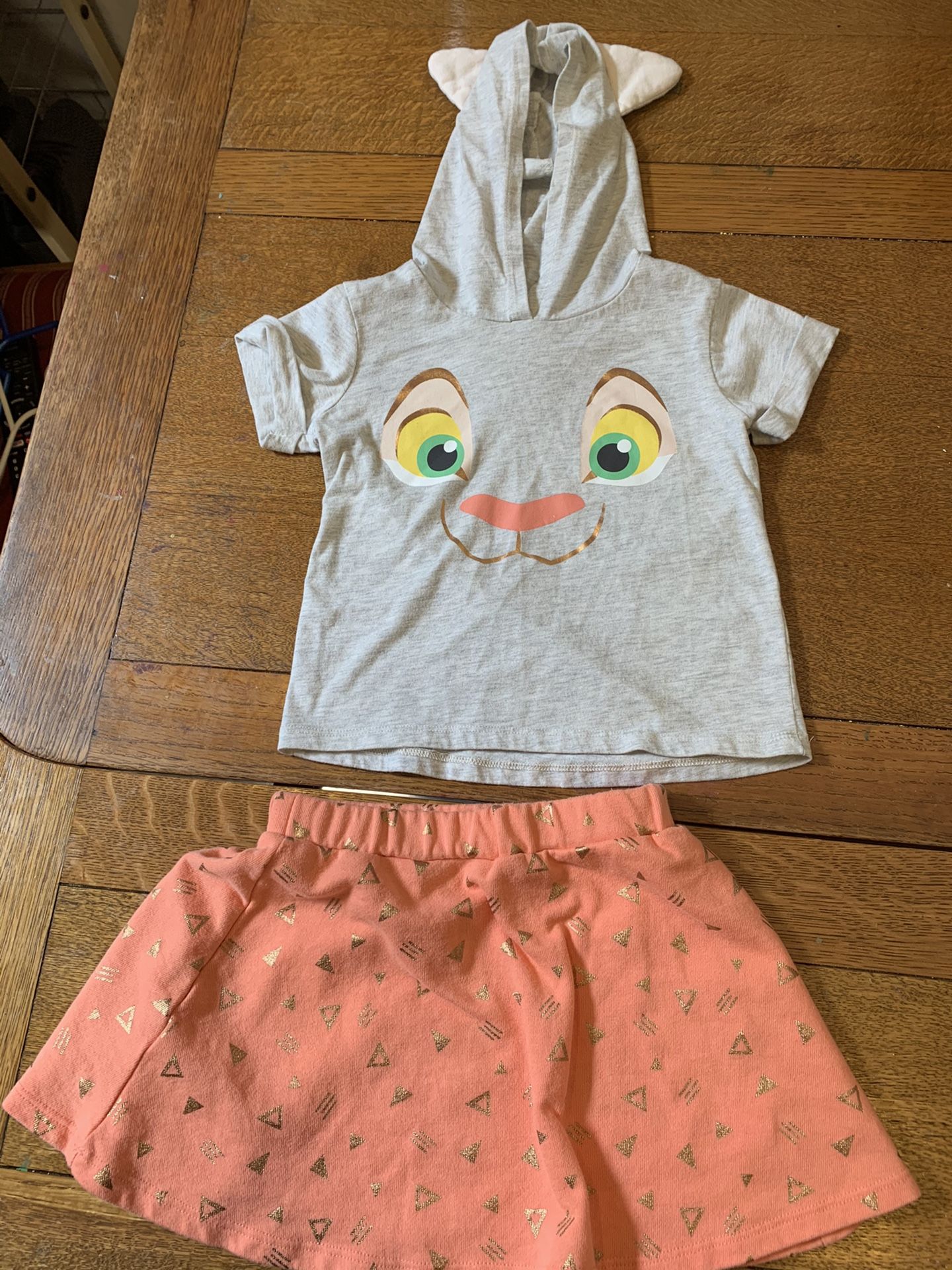 Disney’s Lion King / Frozen: Lion King Size 4T, Frozen Olaf Size 4T, Frozen Anna Size 5T