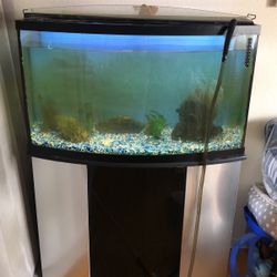 45 Gallon Tank With Stand