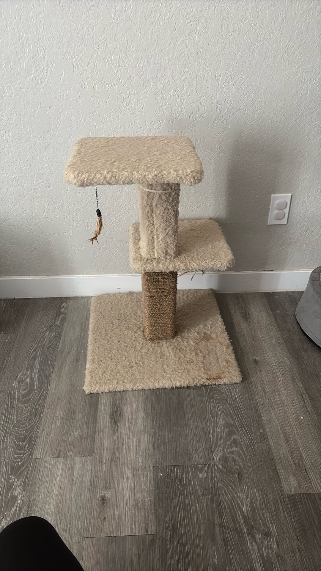 Cat Tower
