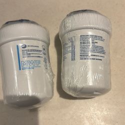 GE MWF Refrigerator Water filters 
