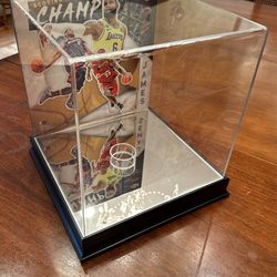 LeBron James Lakers Basketball Display