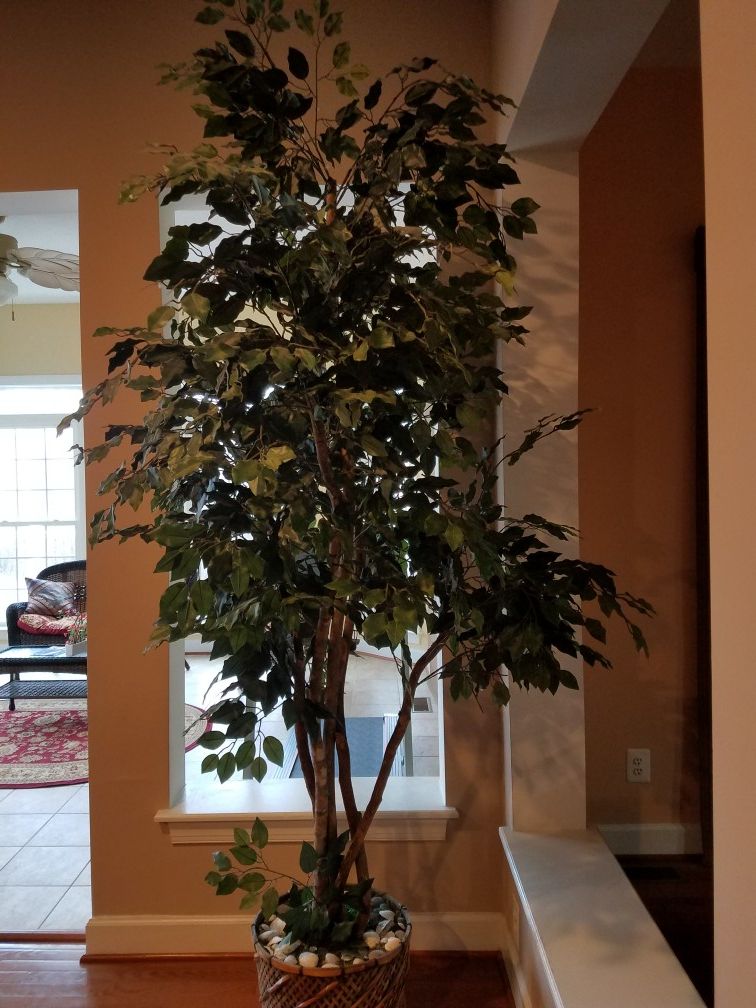 Beautiful 8ft. tall Artificial Tree