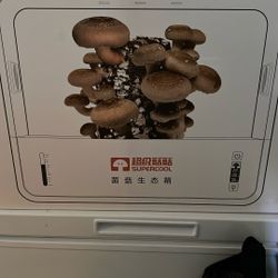 Supercool Mushroom Grow Kit