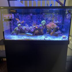 Red Sea Max S500 Premium Setup