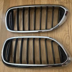 BMW 540i Grills 