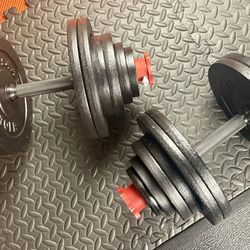 Beast/Smooth Set of Cast Iron Adjustable Dumbbells Yes4All.  Brute W: 150 pounds