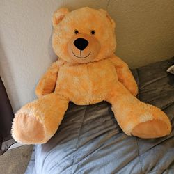 Stuffed Teady Bear