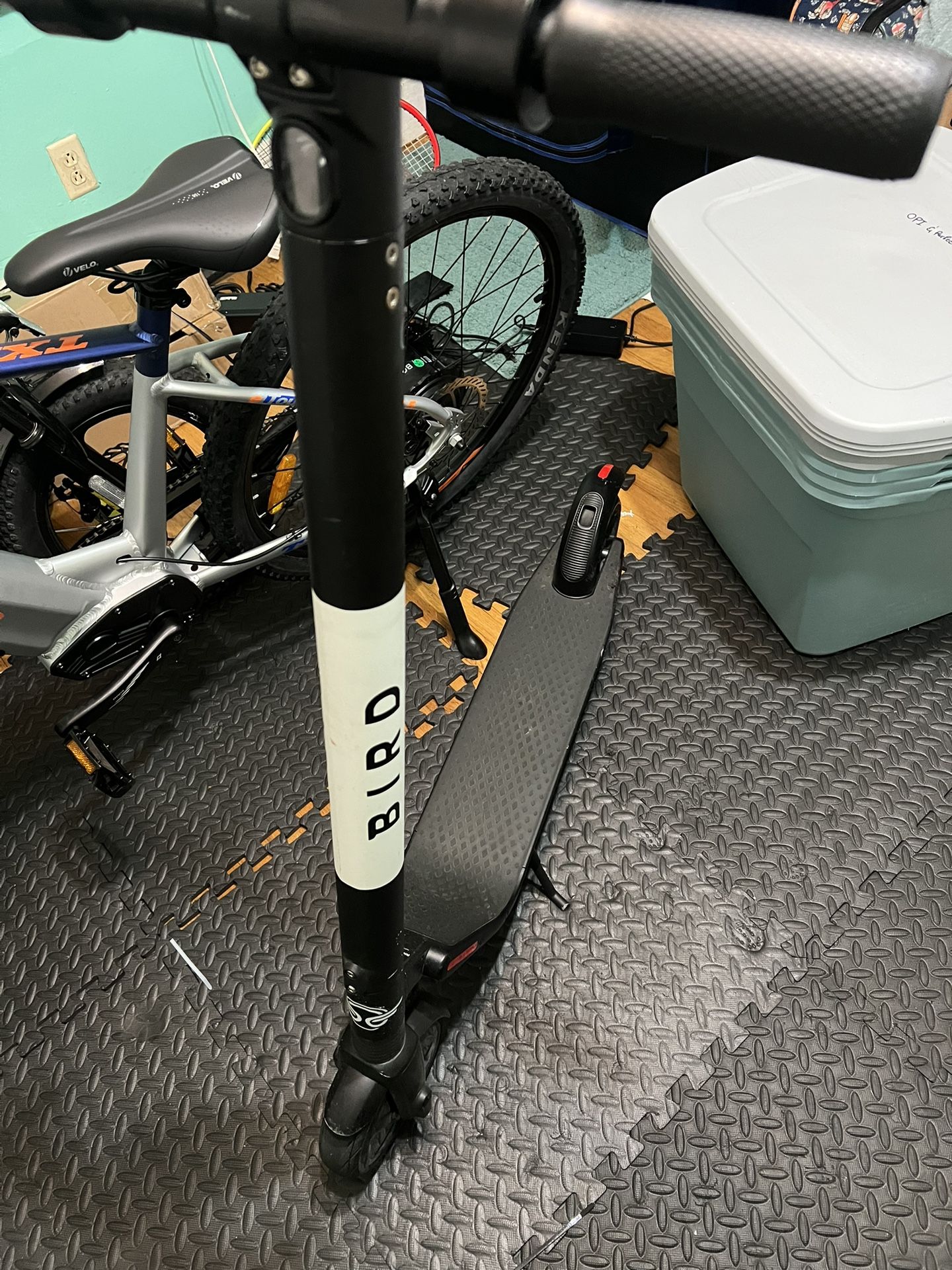 Bird E-scooter Great Condition