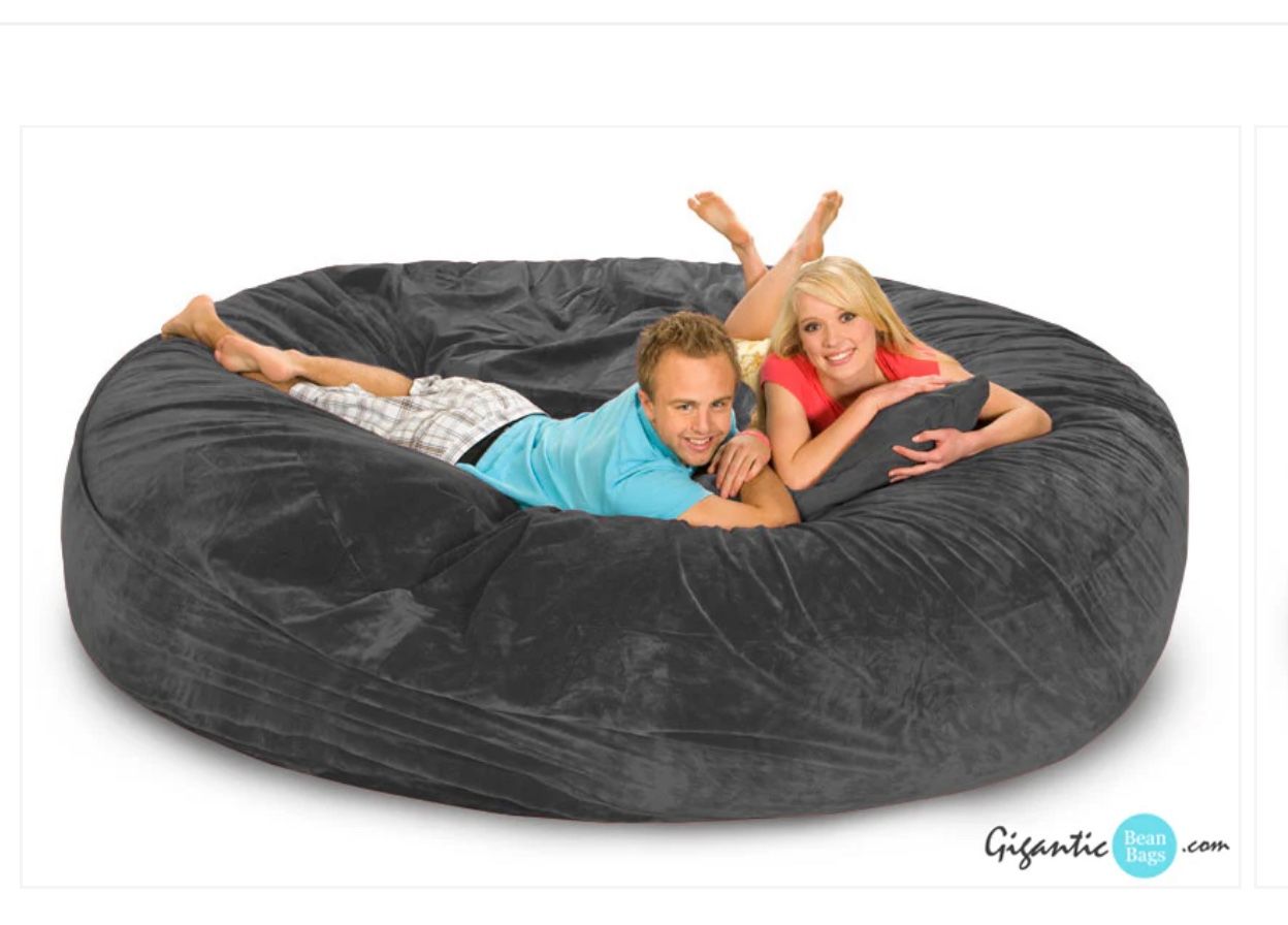 Grey Bean Bag Like New